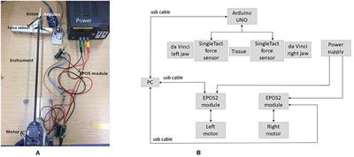 Estimation of Tool-Tissue Forces in Robot-Assisted Minimally Invasive Surgery Using Neural Networks